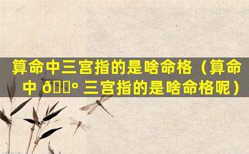 算命中三宫指的是啥命格（算命中 🌺 三宫指的是啥命格呢）